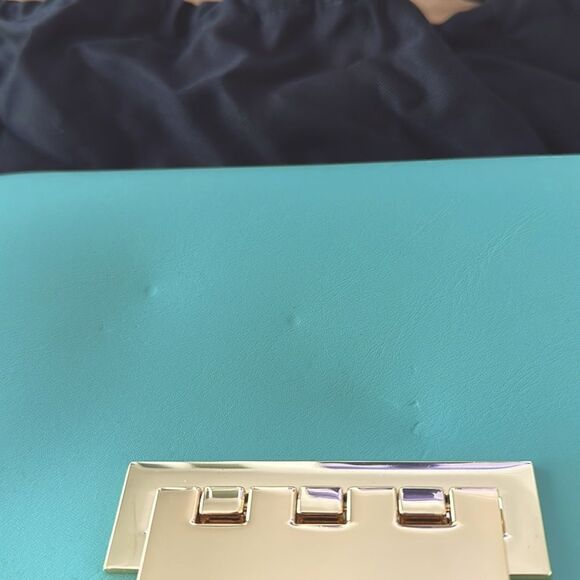 ZAC POSEN Earthette Leather Clutch + Dust Bag - Picture 4 of 9